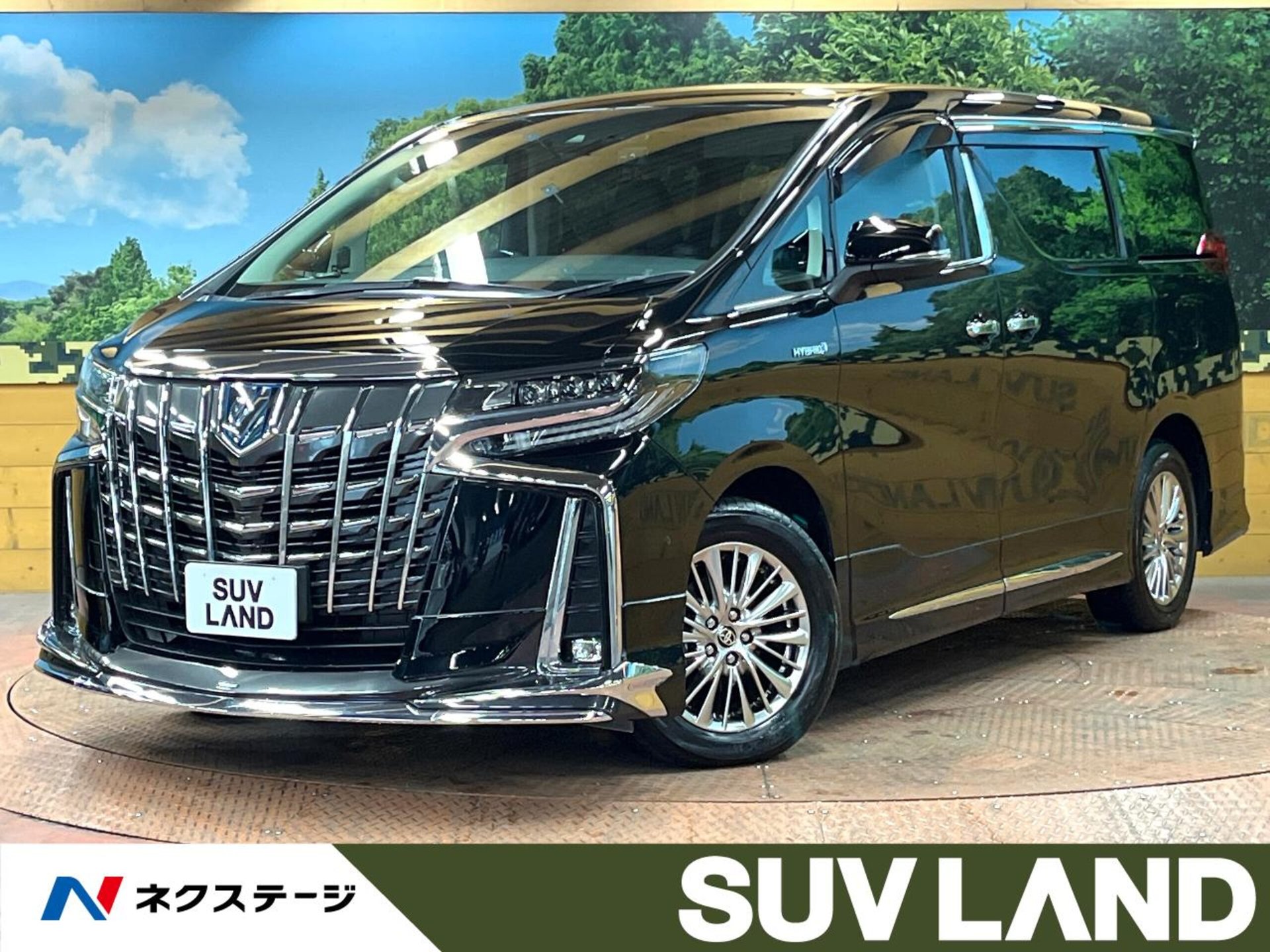 TOYOTA ALPHARD - View 1