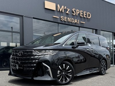2026 Toyota ALPHARD — миниатюра 12