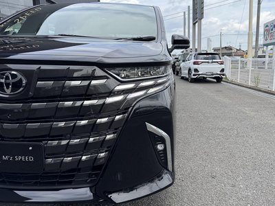 2026 Toyota ALPHARD — миниатюра 16