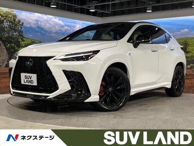 LEXUS NX - 1