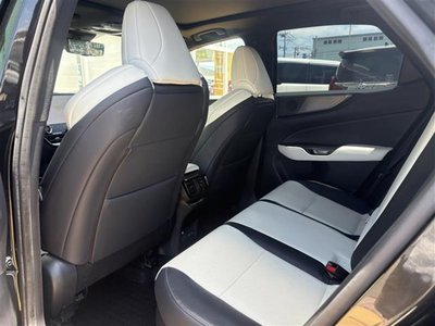 2023 Lexus NX — миниатюра 23