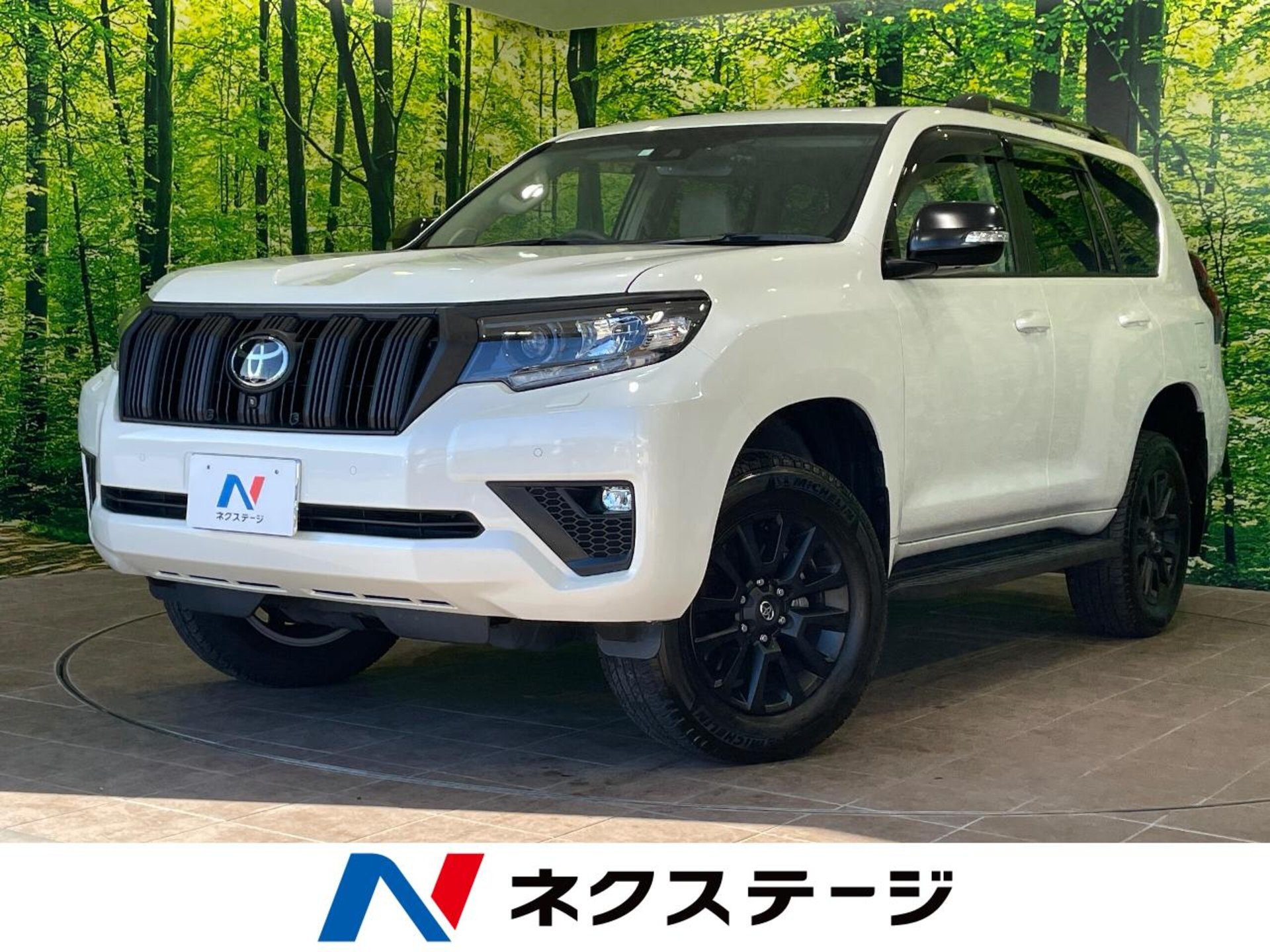 TOYOTA LAND CRUISER PRADO - View 1