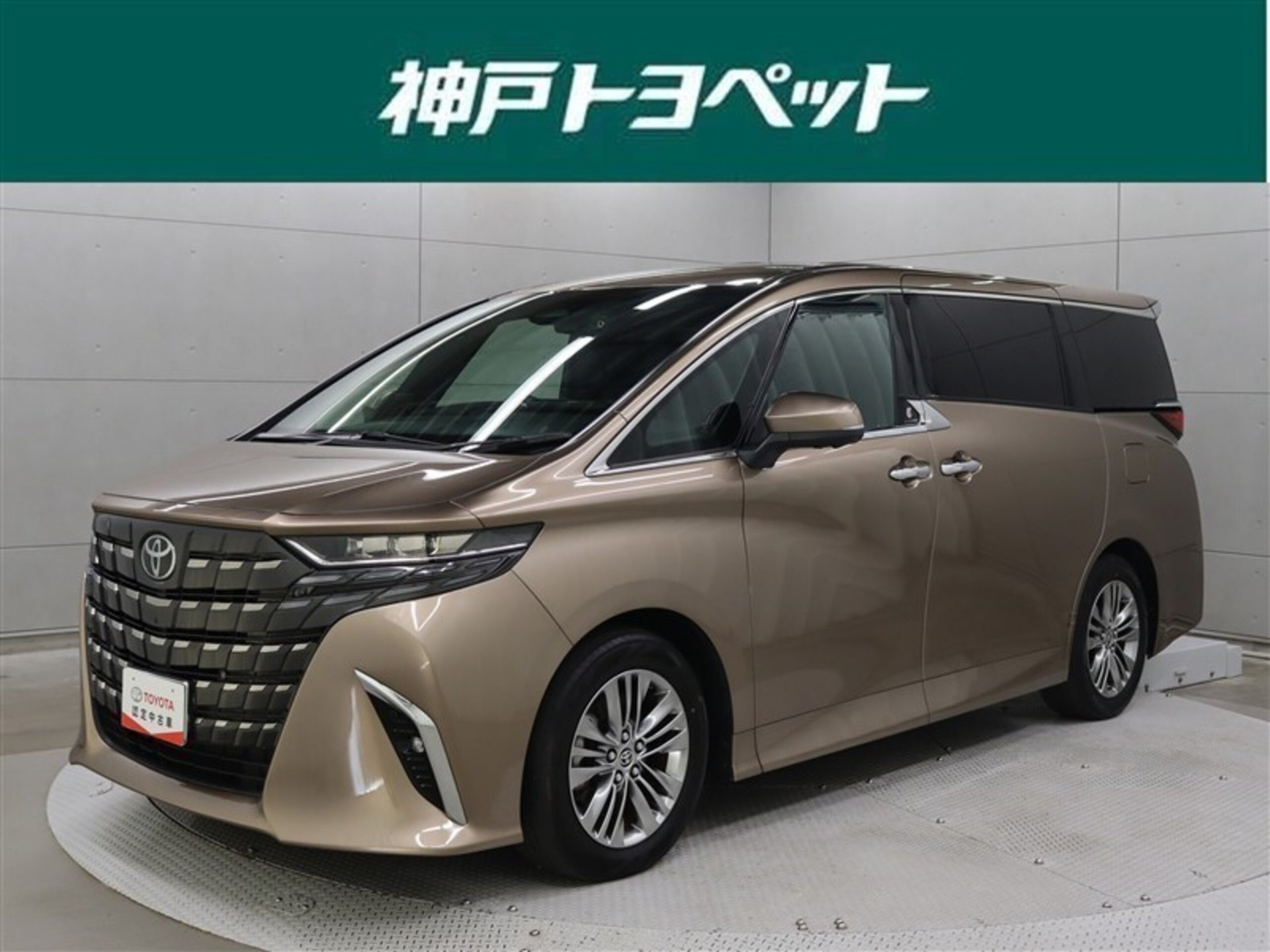 TOYOTA ALPHARD - View 1