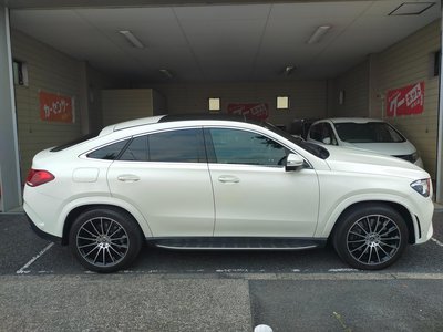 2021 Mercedes-BENZ GLE photo 10