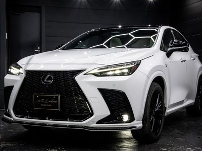 LEXUS NX - 5