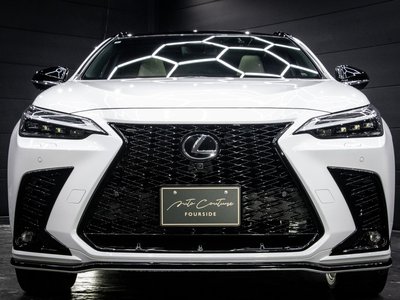 LEXUS NX - 1