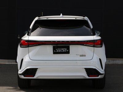 LEXUS RX - 9
