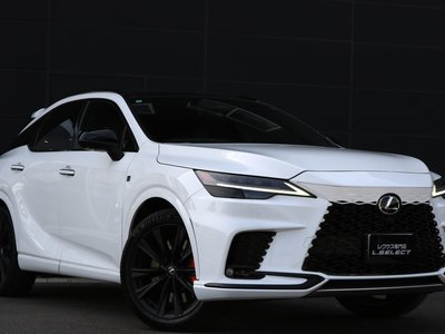 LEXUS RX - 6