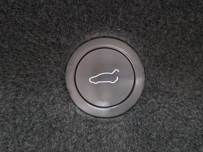 2024 Tesla MODEL X 缩略图 28