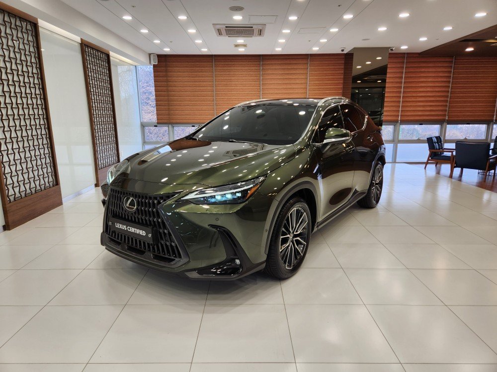 LEXUS NX - View 1