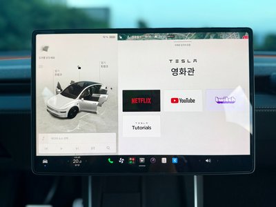2025 Tesla MODEL Y thumbnail 18