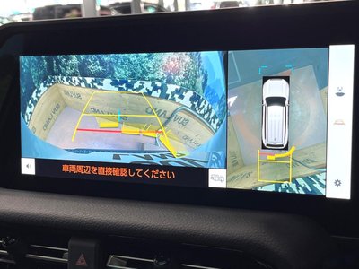 TOYOTA LAND CRUISER 250 - 5