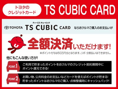 2023 Toyota LAND CRUISER 300 缩略图 47