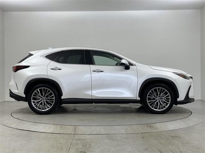 صورة مصغرة 36 لـ 2023 Lexus NX