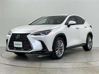 صورة مصغرة 18 لـ 2023 Lexus NX