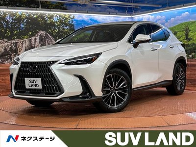 LEXUS NX - 1