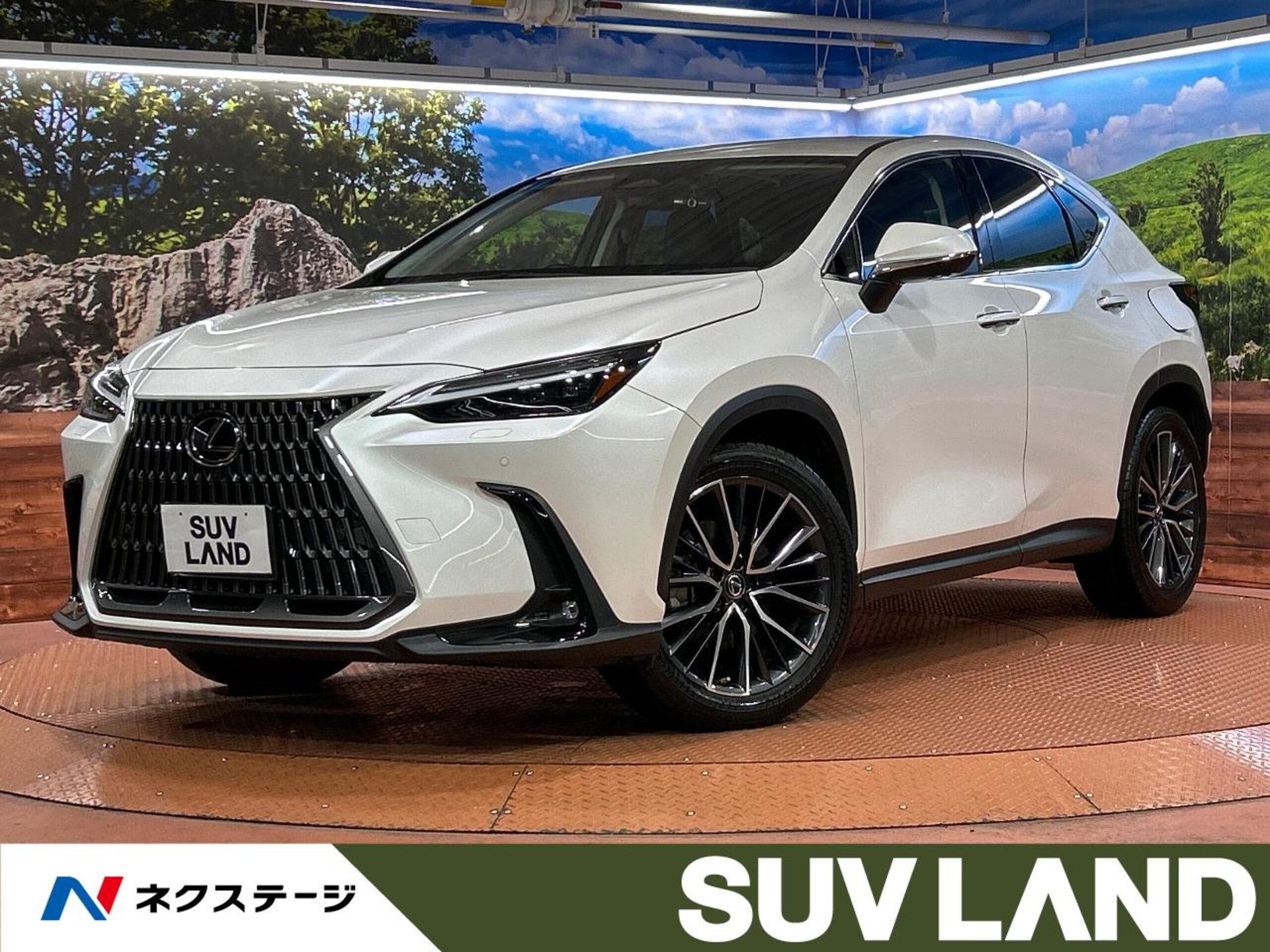 LEXUS NX - View 1