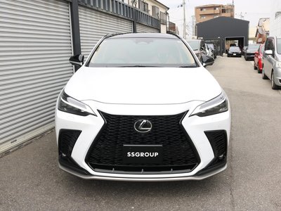 LEXUS NX - 6