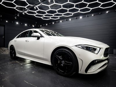 2022 Mercedes-BENZ CLS thumbnail 32