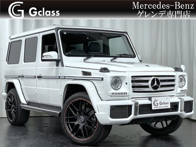MERCEDES-BENZ G-CLASS - 1