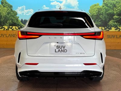 2023 Lexus NX — миниатюра 15