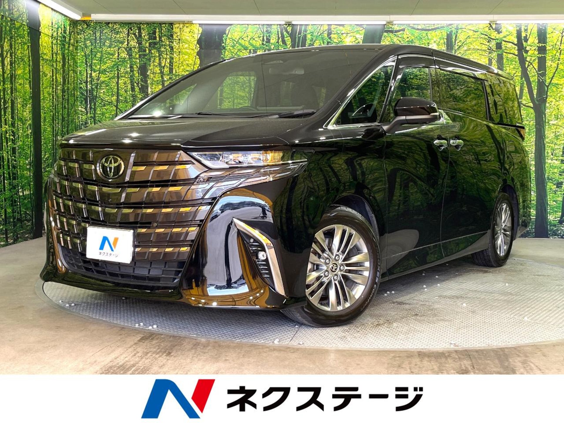 TOYOTA ALPHARD - View 1