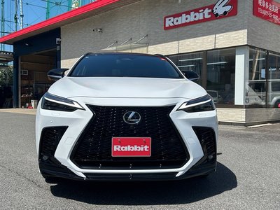 LEXUS NX - 4