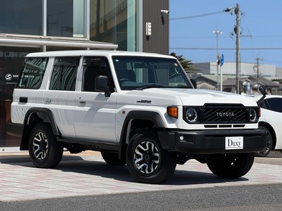 TOYOTA LAND CRUISER 70 - 7