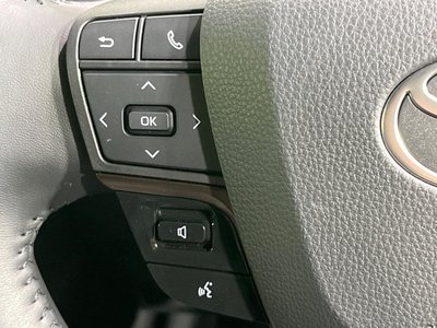 2025 TOYOTA ALPHARD 缩略图 50