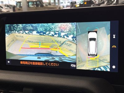 TOYOTA LAND CRUISER 250 - 6