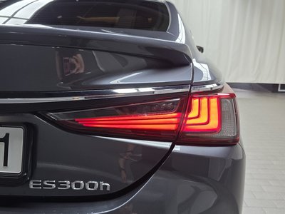 2024 Lexus ES 照片 10