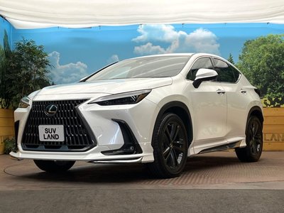 LEXUS NX - 3