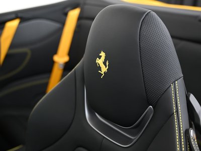 2020 Ferrari PORTOFINO 缩略图 18