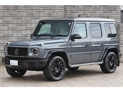 2020 Mercedes-BENZ G-CLASS 缩略图 24