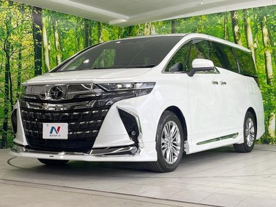 2024 TOYOTA ALPHARD 缩略图 21