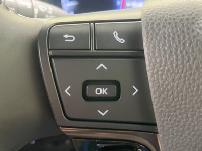 2024 TOYOTA ALPHARD 缩略图 37