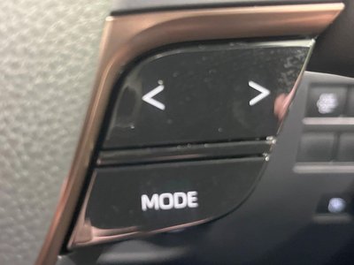 2024 TOYOTA ALPHARD 缩略图 40