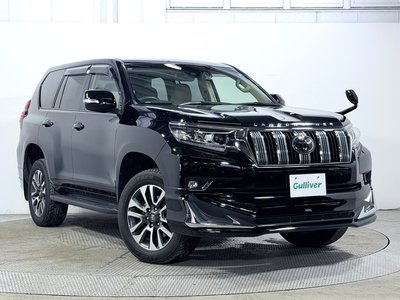 2023 Toyota LAND CRUISER PRADO 缩略图 59