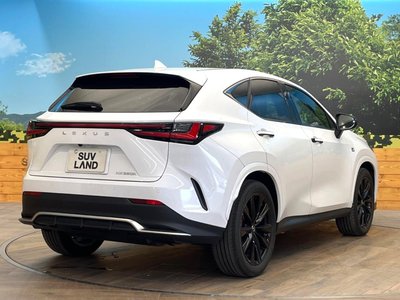 2024 Lexus NX thumbnail 17