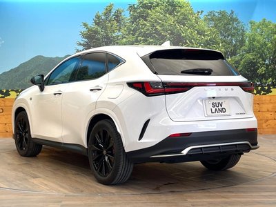 2024 Lexus NX thumbnail 21