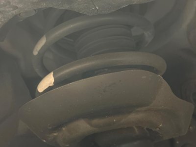 2024 Lexus NX thumbnail 20