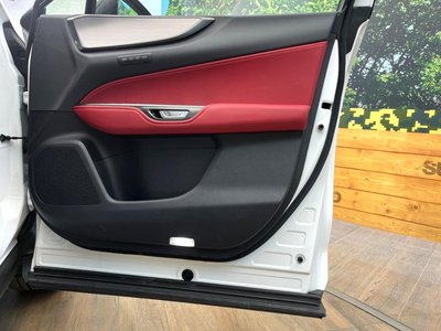 2024 Lexus NX thumbnail 29