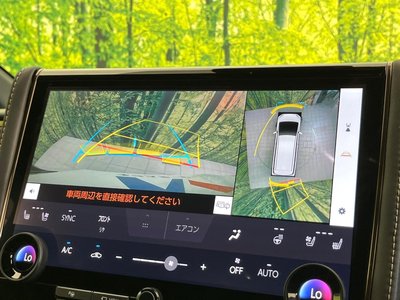 2025 Toyota ALPHARD photo 5
