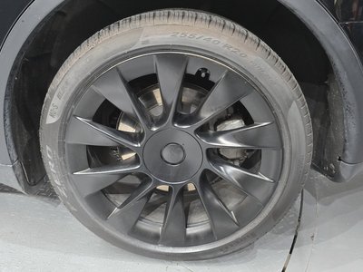 2023 Tesla MODEL Y 照片 8
