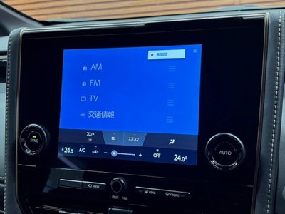 2025 Toyota ALPHARD 缩略图 61
