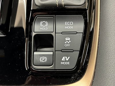 2025 Toyota ALPHARD 缩略图 67
