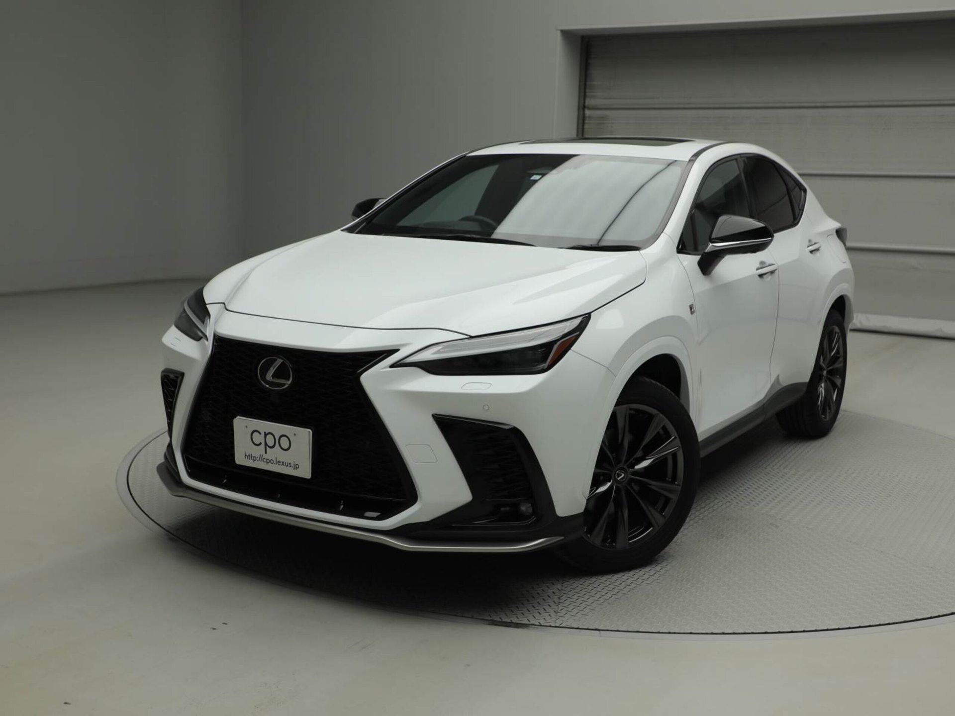 LEXUS NX - View 1