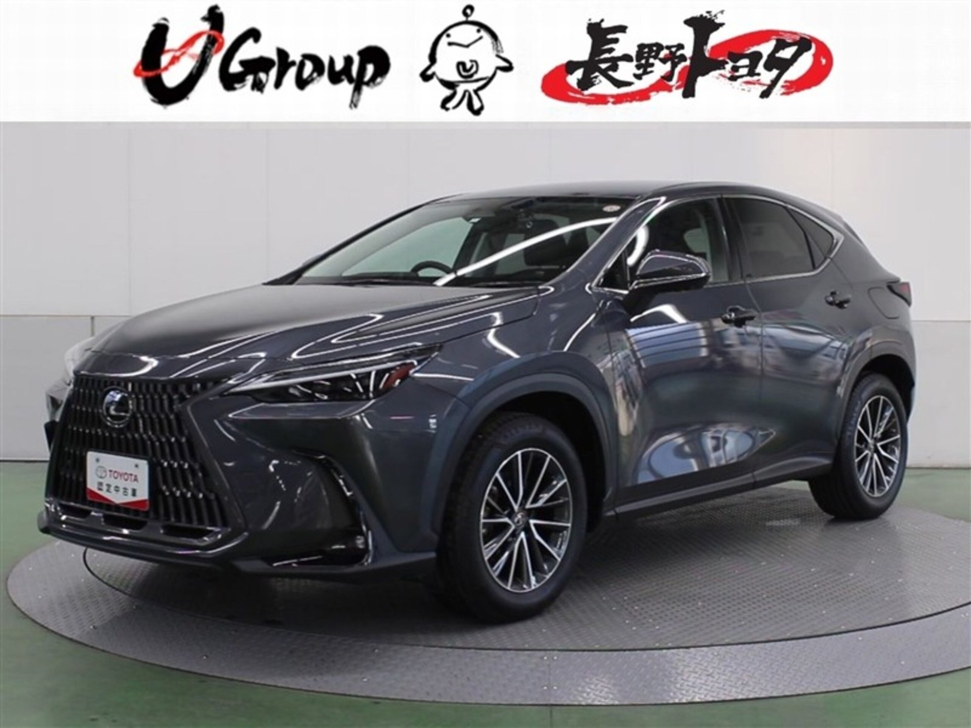 LEXUS NX - View 1