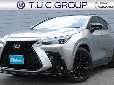 LEXUS NX - 1