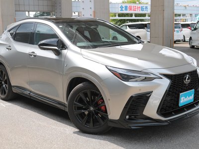 2025 Lexus NX 缩略图 24